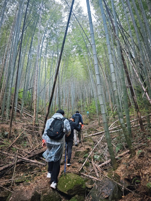 Explore Wufeng, Green Power for Chuangli Chuangli Group Successfully Holds 2026 Spring Hiking Event(圖8)