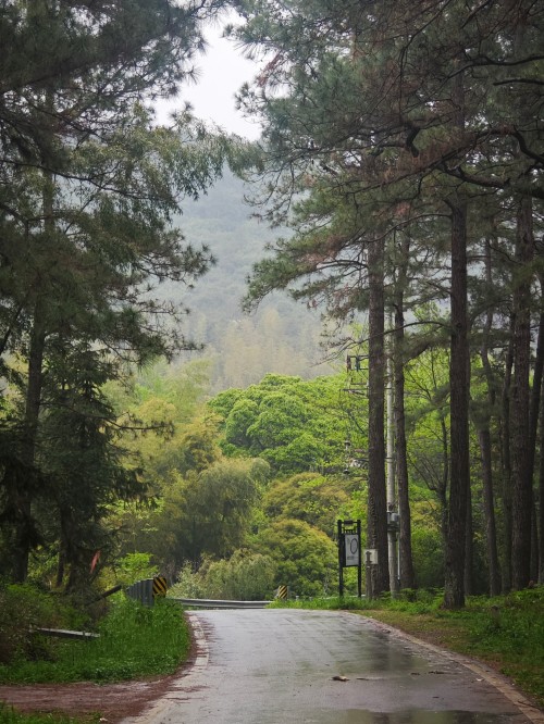 Explore Wufeng, Green Power for Chuangli Chuangli Group Successfully Holds 2026 Spring Hiking Event(圖2)