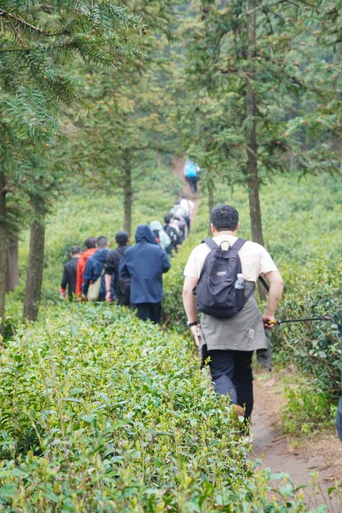 Explore Wufeng, Green Power for Chuangli Chuangli Group Successfully Holds 2026 Spring Hiking Event(圖7)