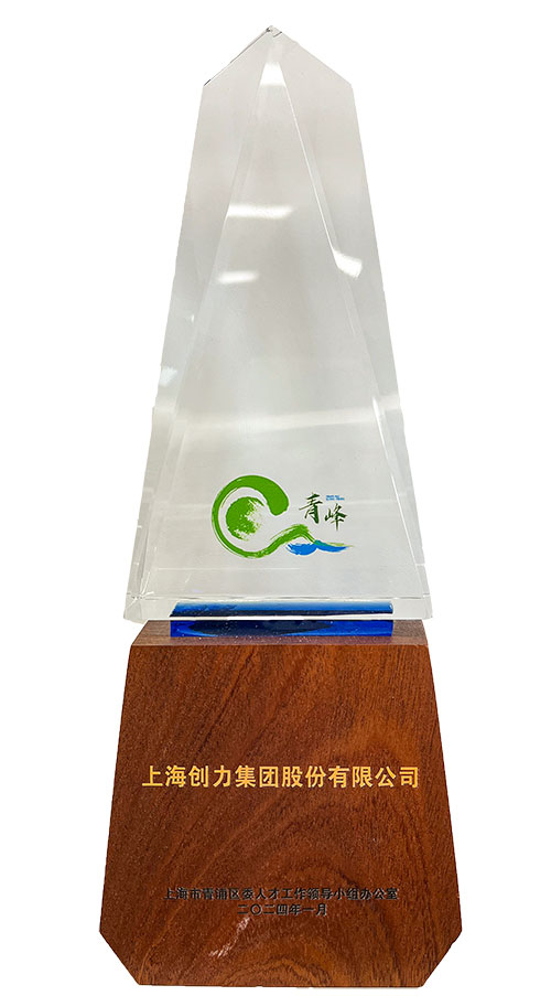 喜報(bào)！上海創(chuàng)力集團(tuán)榮獲2023年度青浦區(qū)百強(qiáng)優(yōu)秀企業(yè)等三項(xiàng)大獎(jiǎng)(圖3)