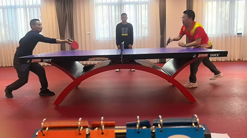  躍動(dòng)創(chuàng)力 智勝未來 | 創(chuàng)力集團(tuán)2025年主題運(yùn)動(dòng)會(huì)圓滿落幕(圖4)