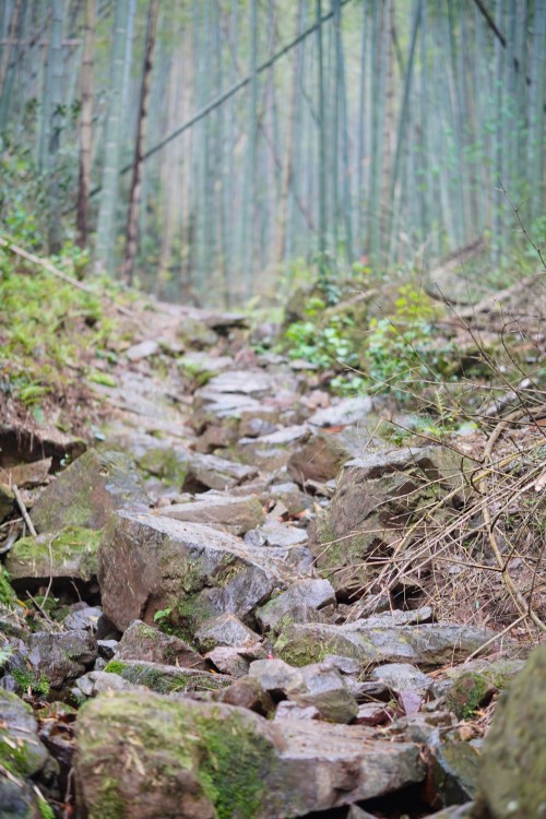 微信圖片_20260413095647_211_84.jpg 【烏峰探秘 綠動(dòng)創(chuàng)力】創(chuàng)力集團(tuán)成功舉辦2026年春季徒步活動(dòng)(圖3)